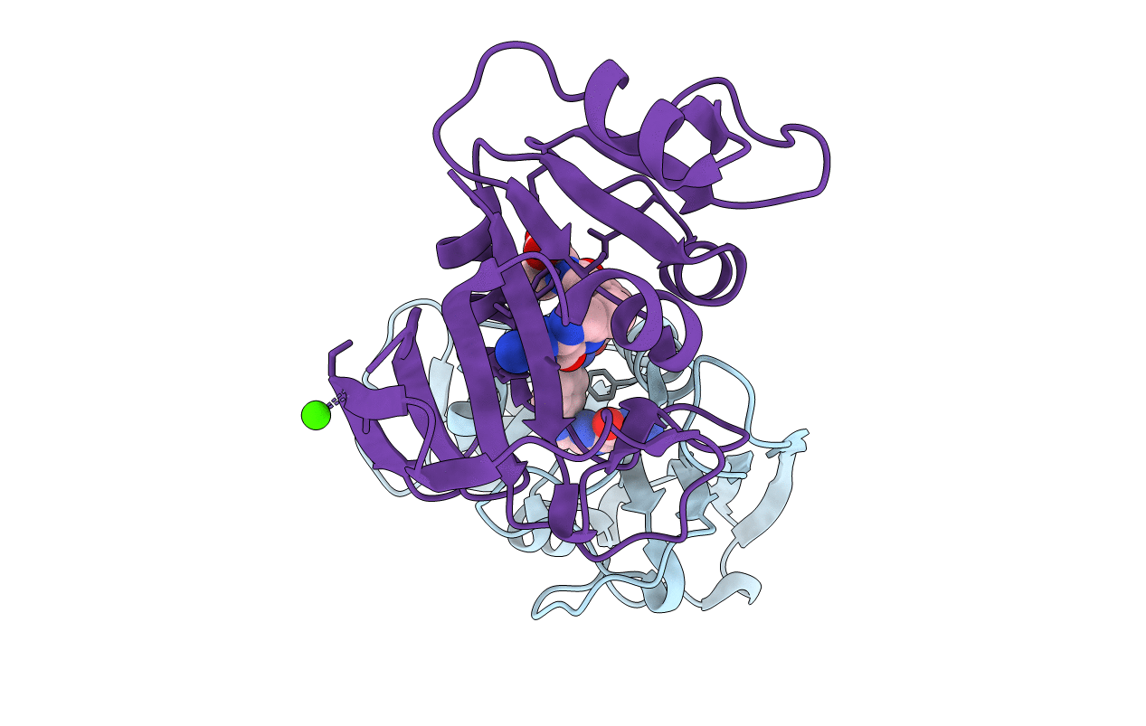 1DYI image
