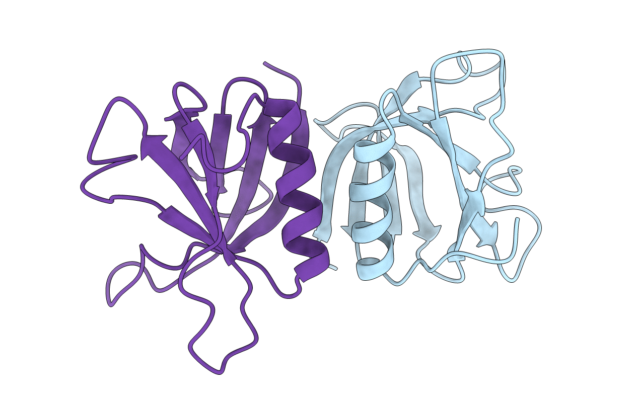 1DYN image