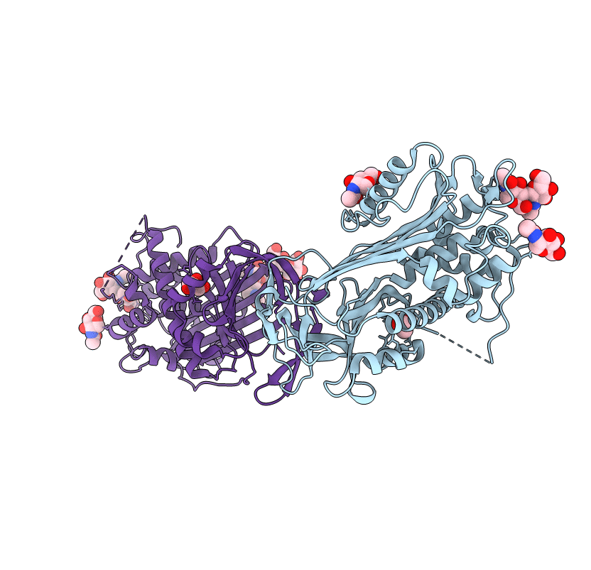 1DZH image