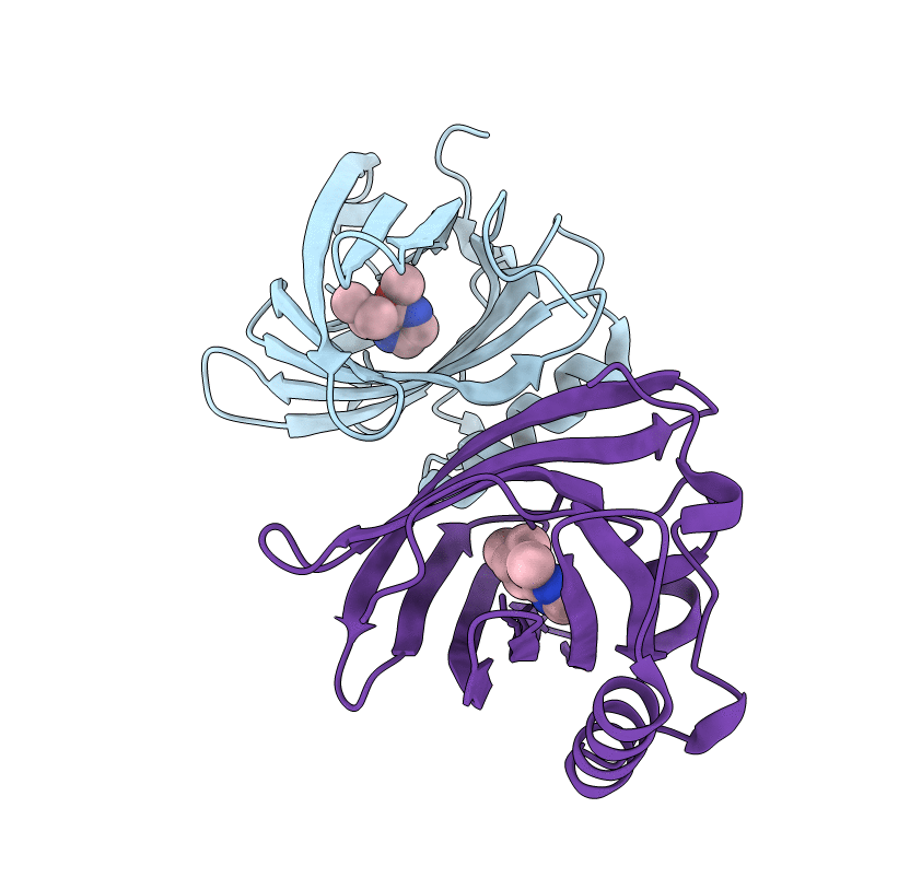 1DZK image