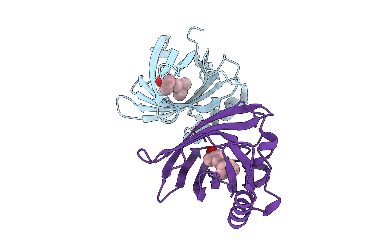 1E00 image