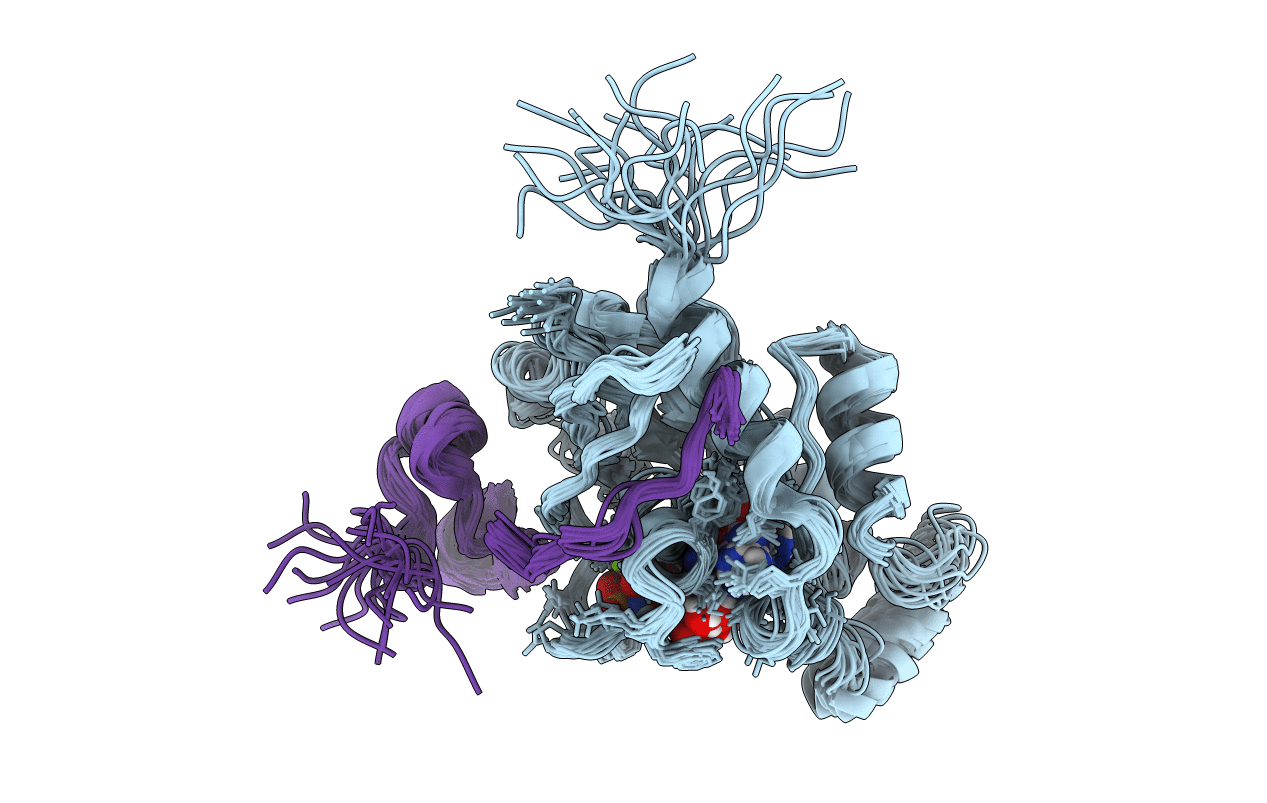 1E0A image