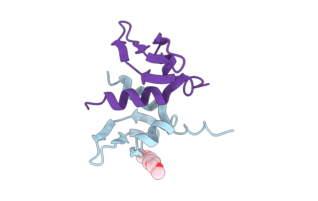 1E0B image
