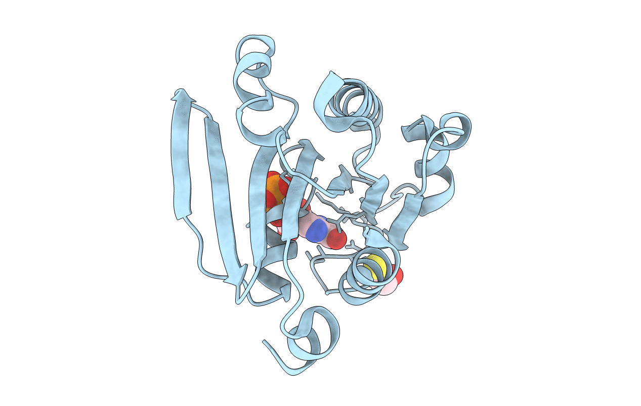 1E0S image