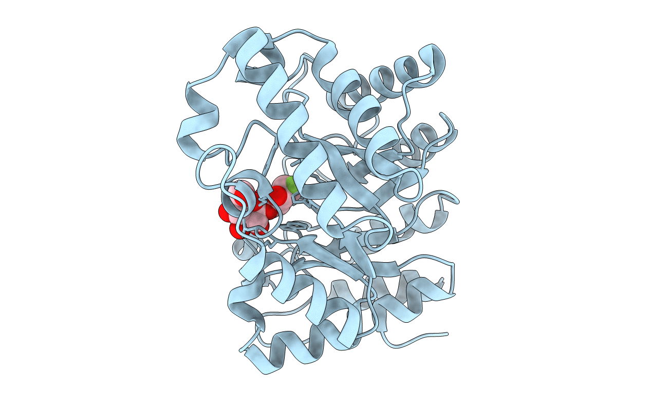 1E0V image