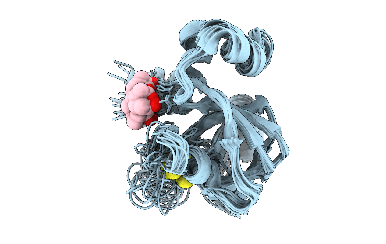 1E10 image