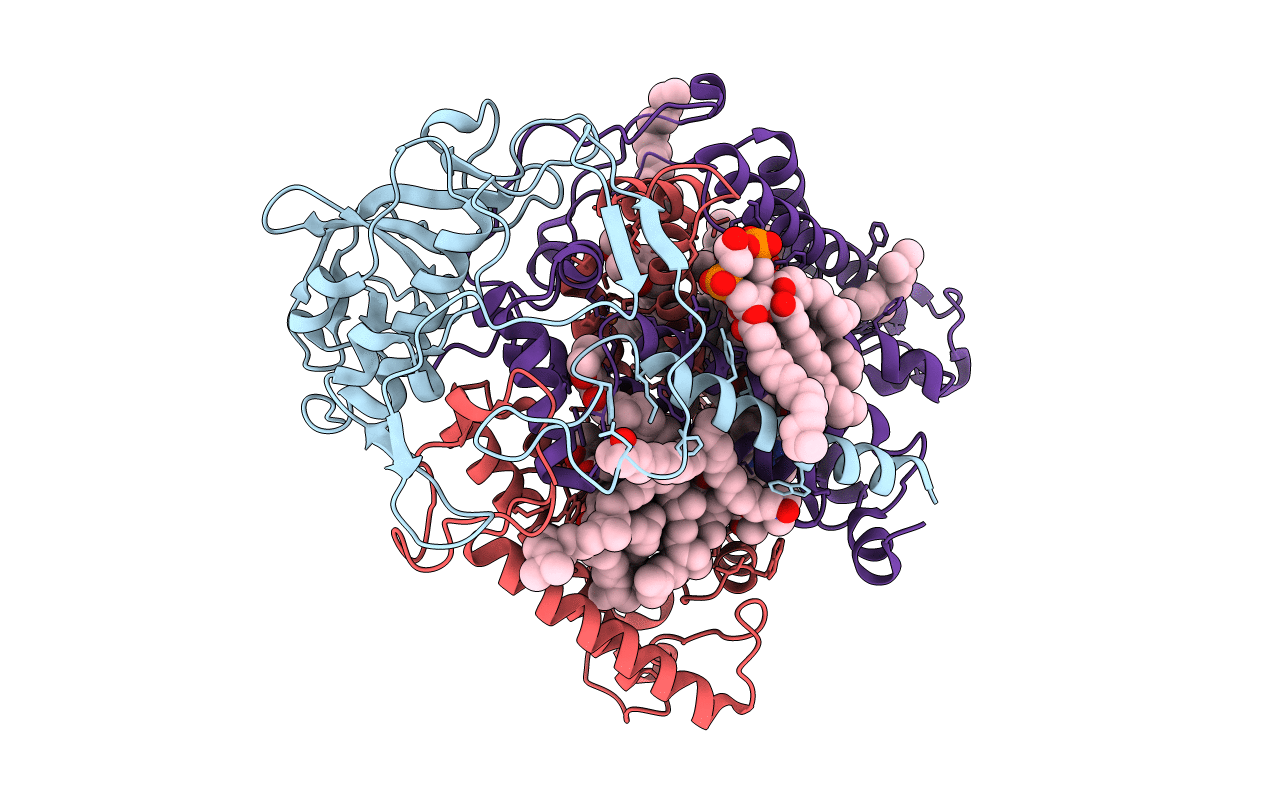 1E14 image