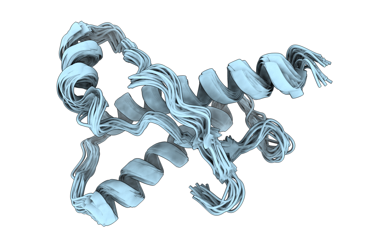 1E1G image