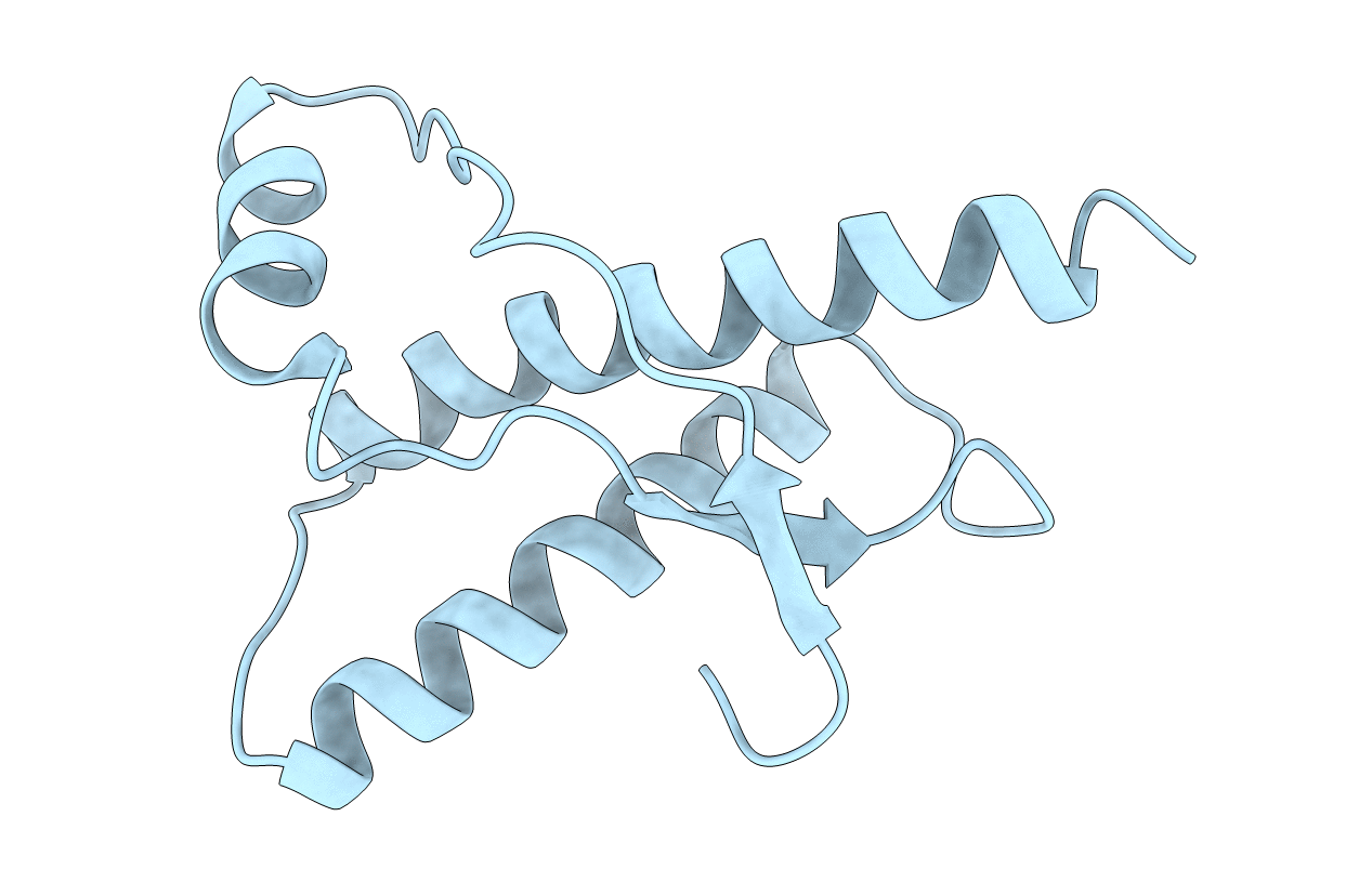 1E1J image