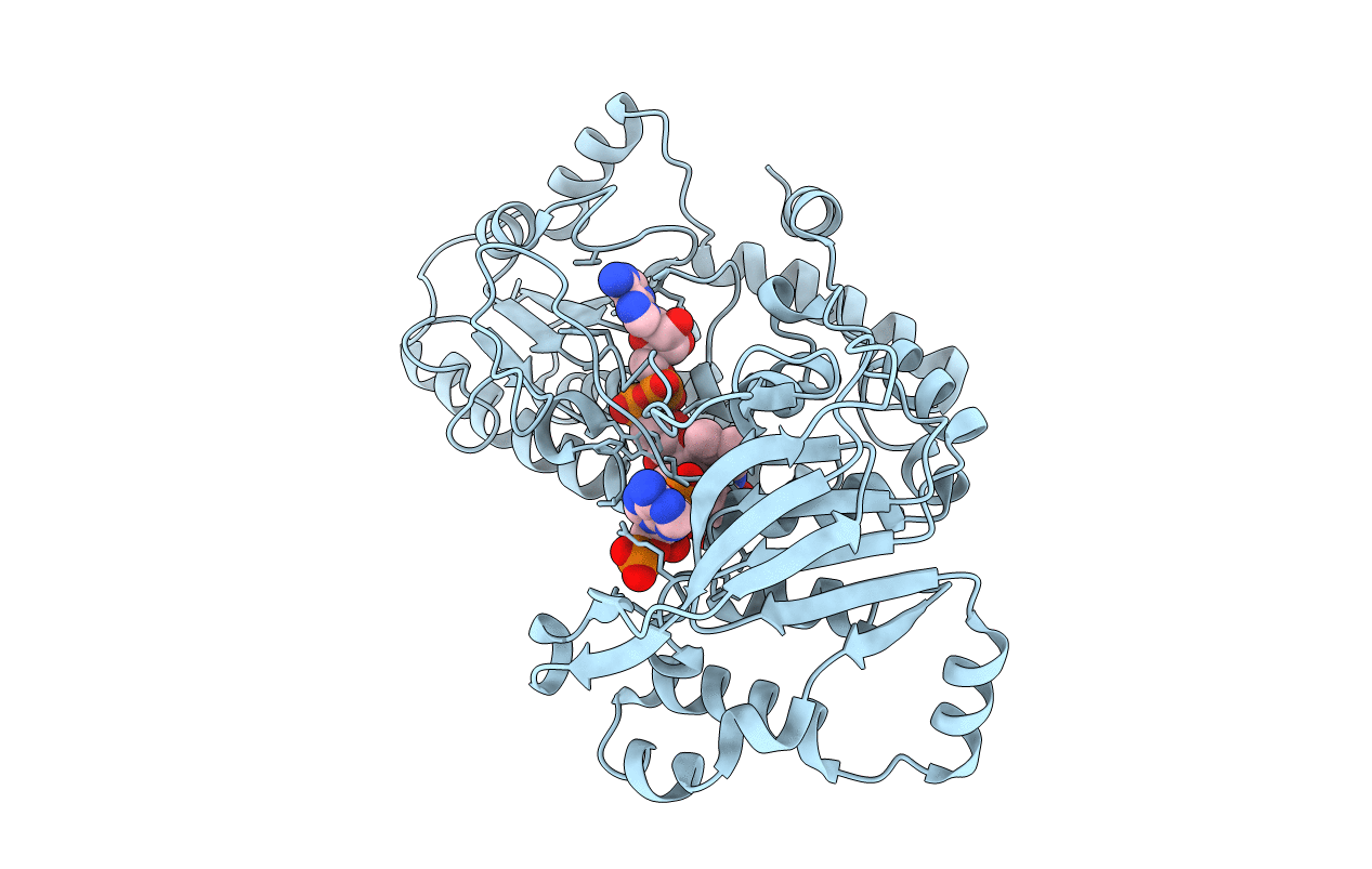 1E1K image