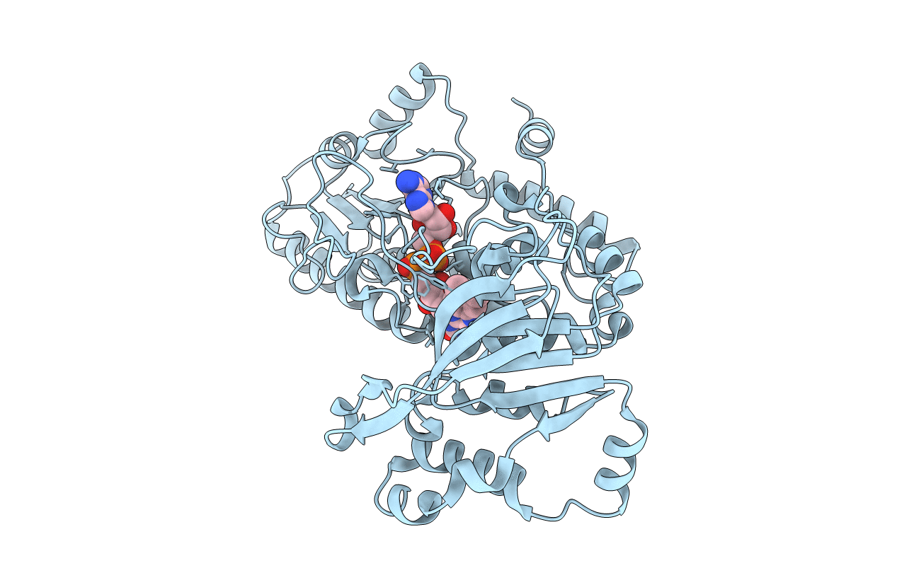 1E1N image