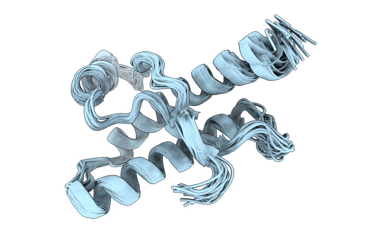 1E1P image