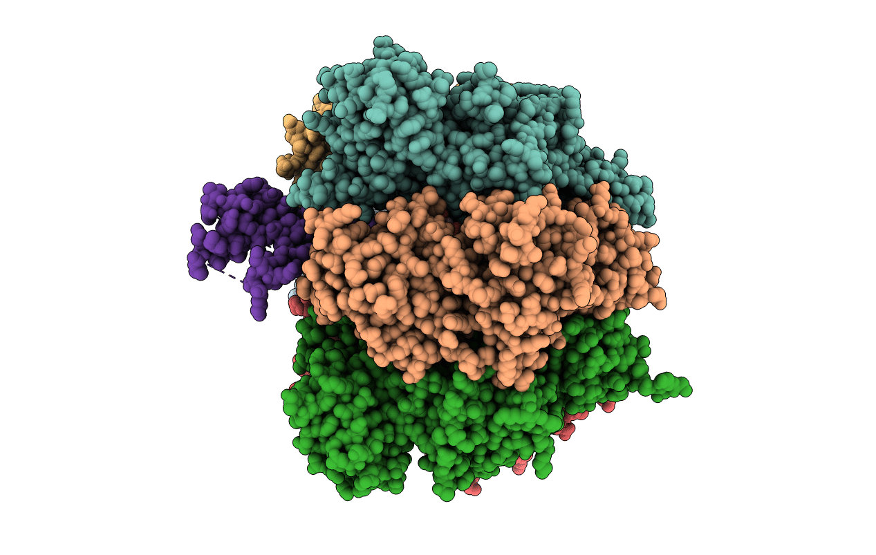 1E1R image