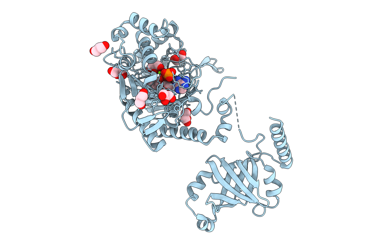 1E1T image