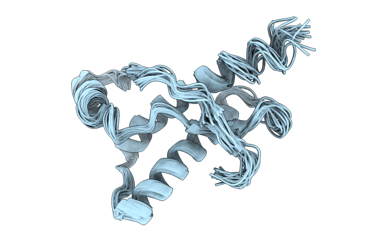 1E1U image