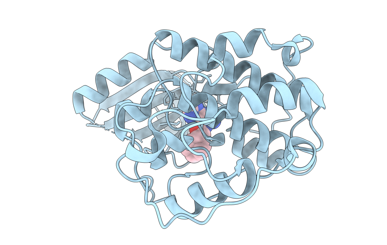 1E1V image