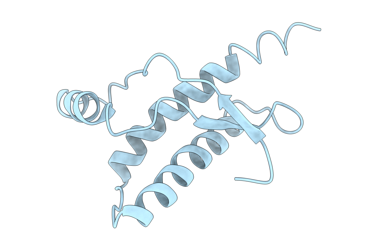 1E1W image