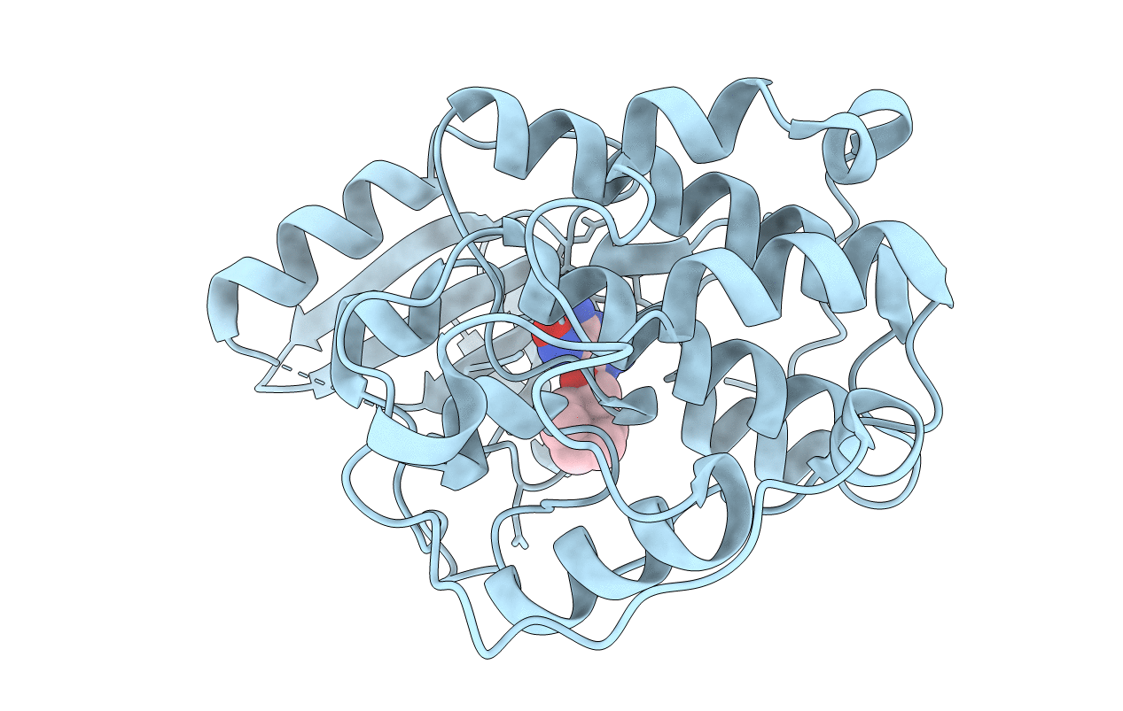 1E1X image