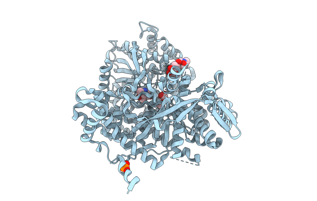 1e1y image