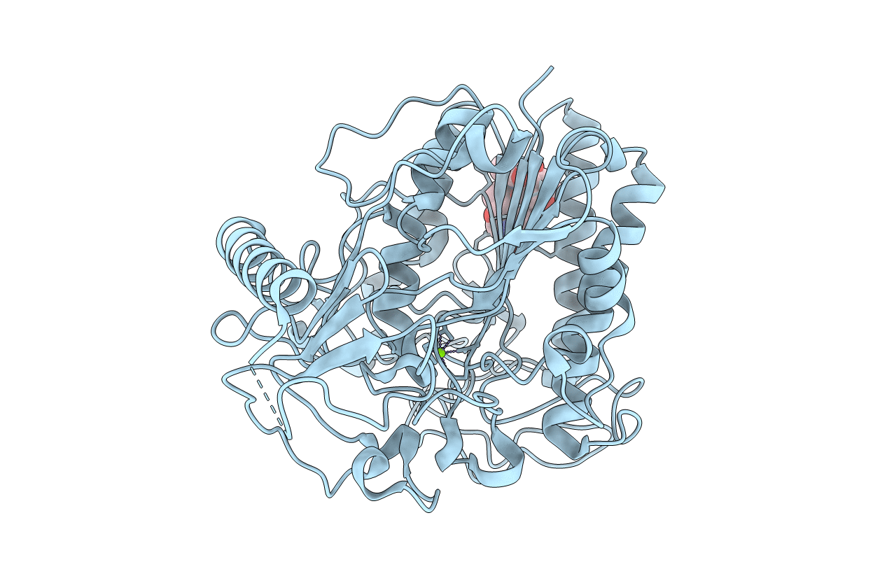 1E1Z image