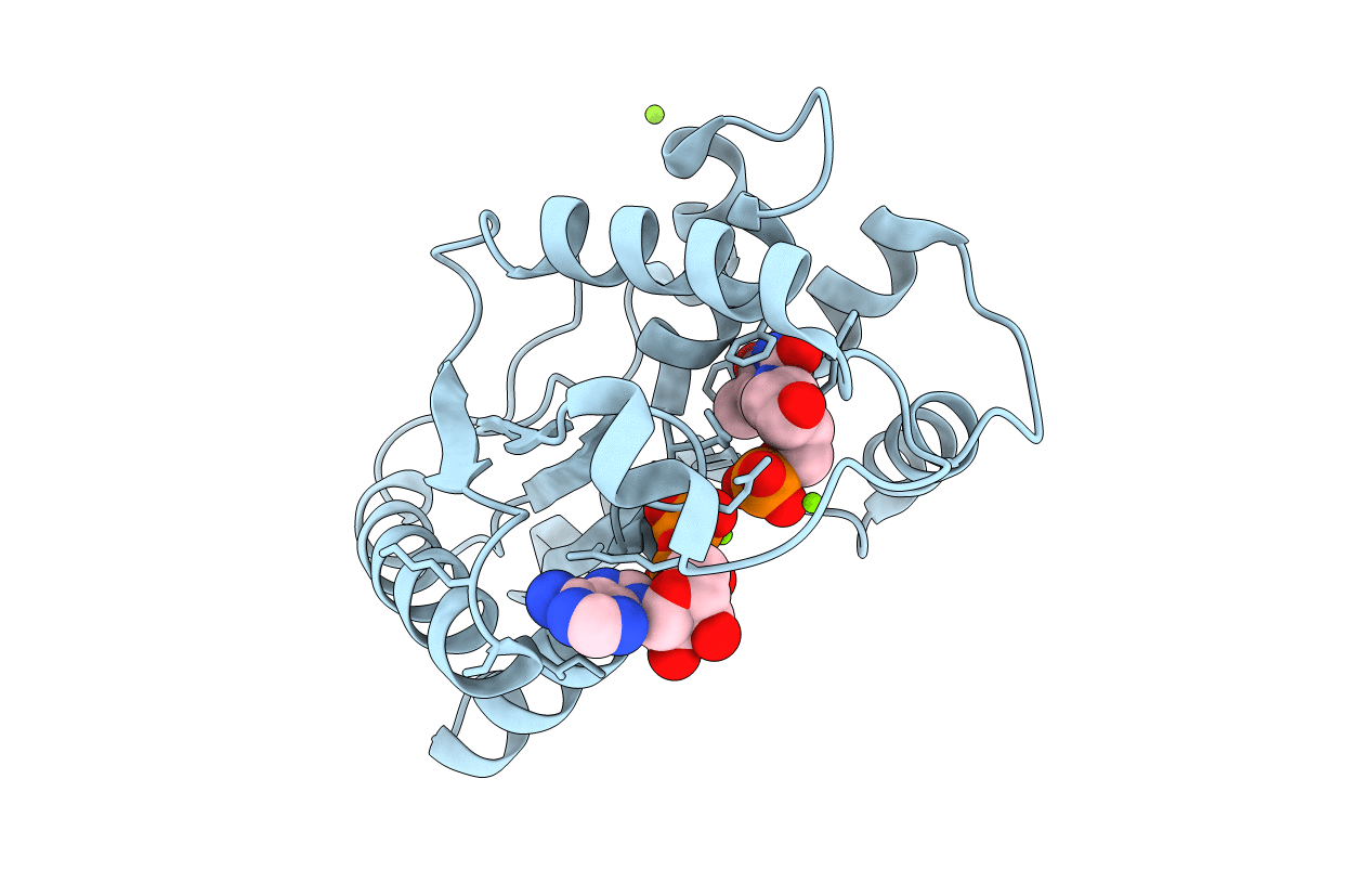 1E2D image