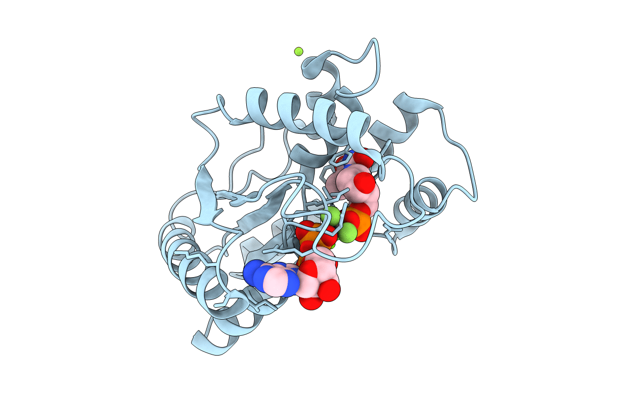 1E2E image