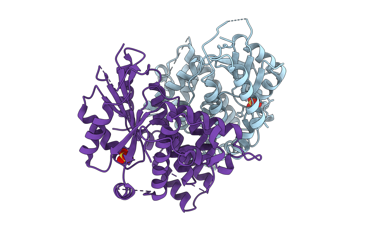 1E2H image