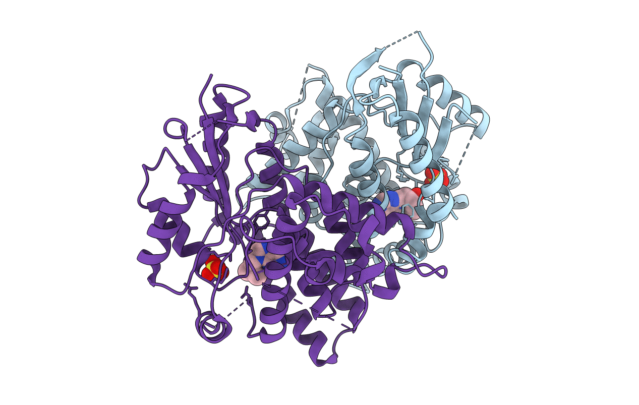1E2I image