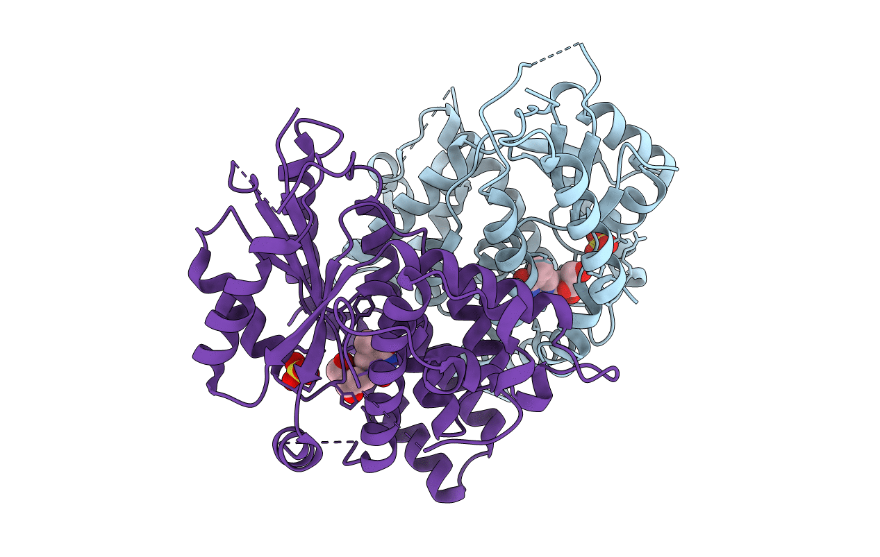 1E2J image