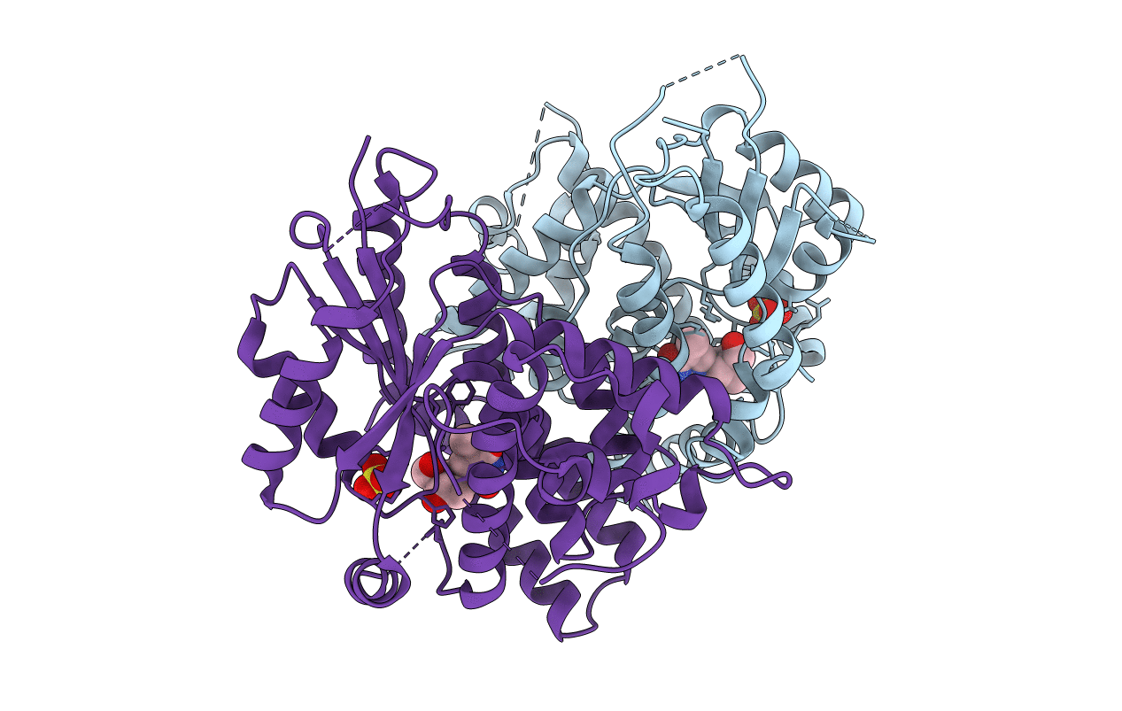 1E2K image