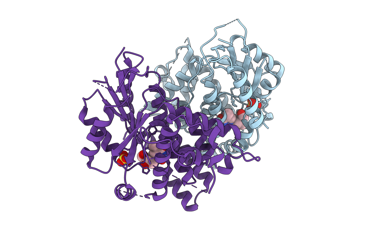 1E2L image