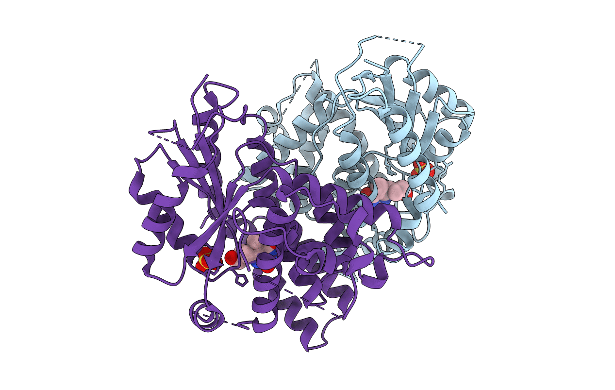 1E2M image
