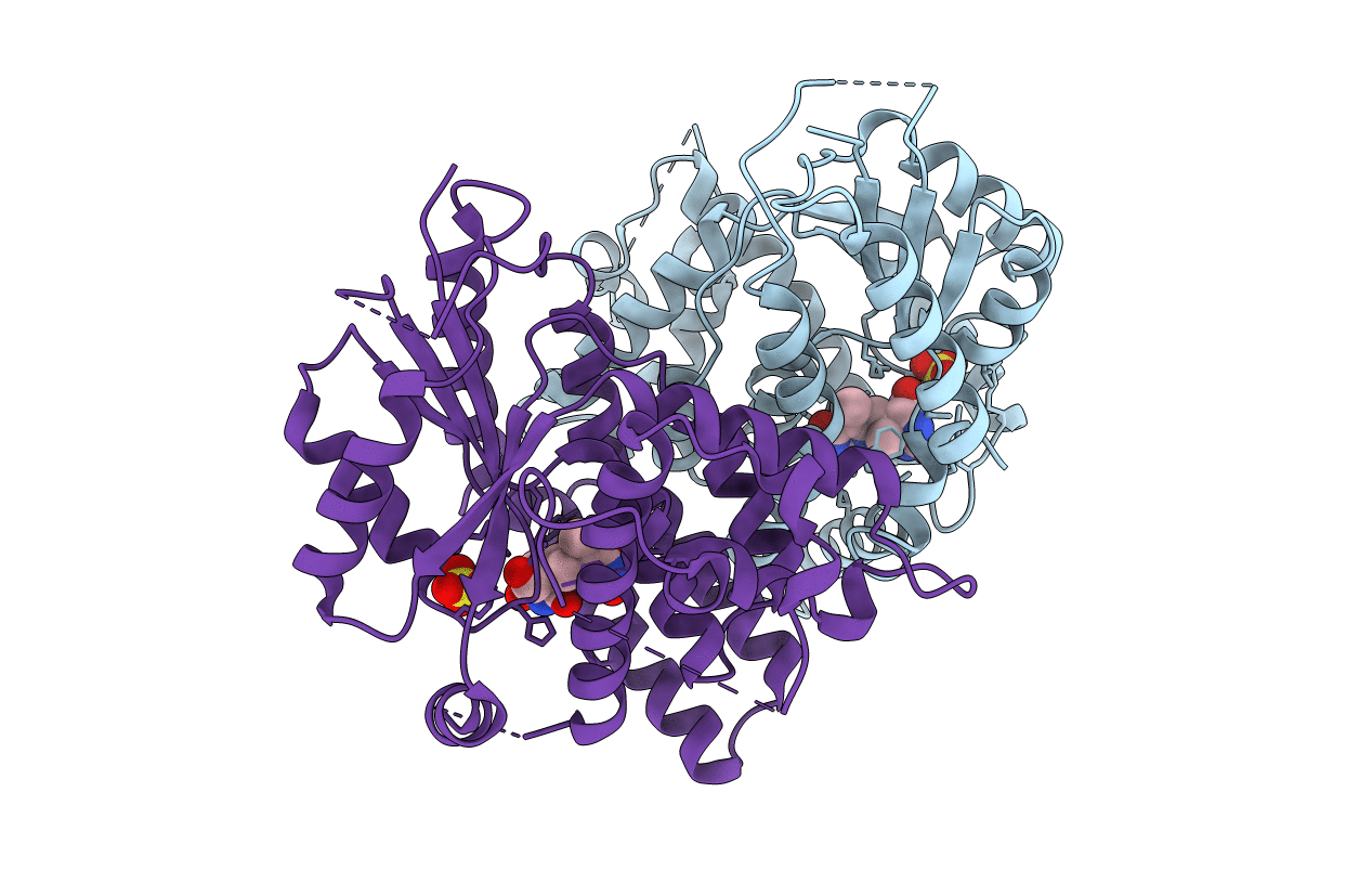 1E2N image