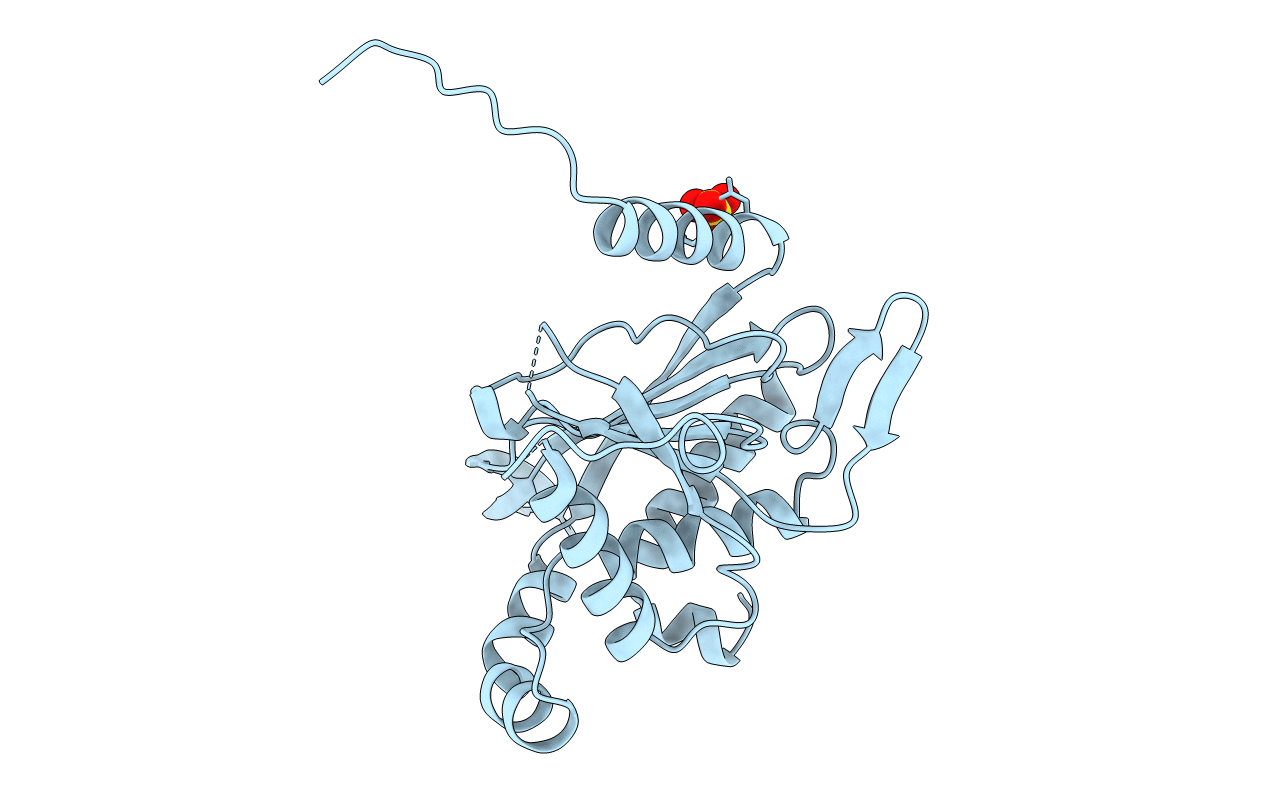 1E2O image