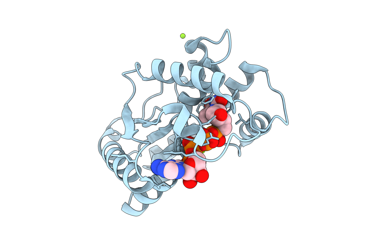 1E2Q image