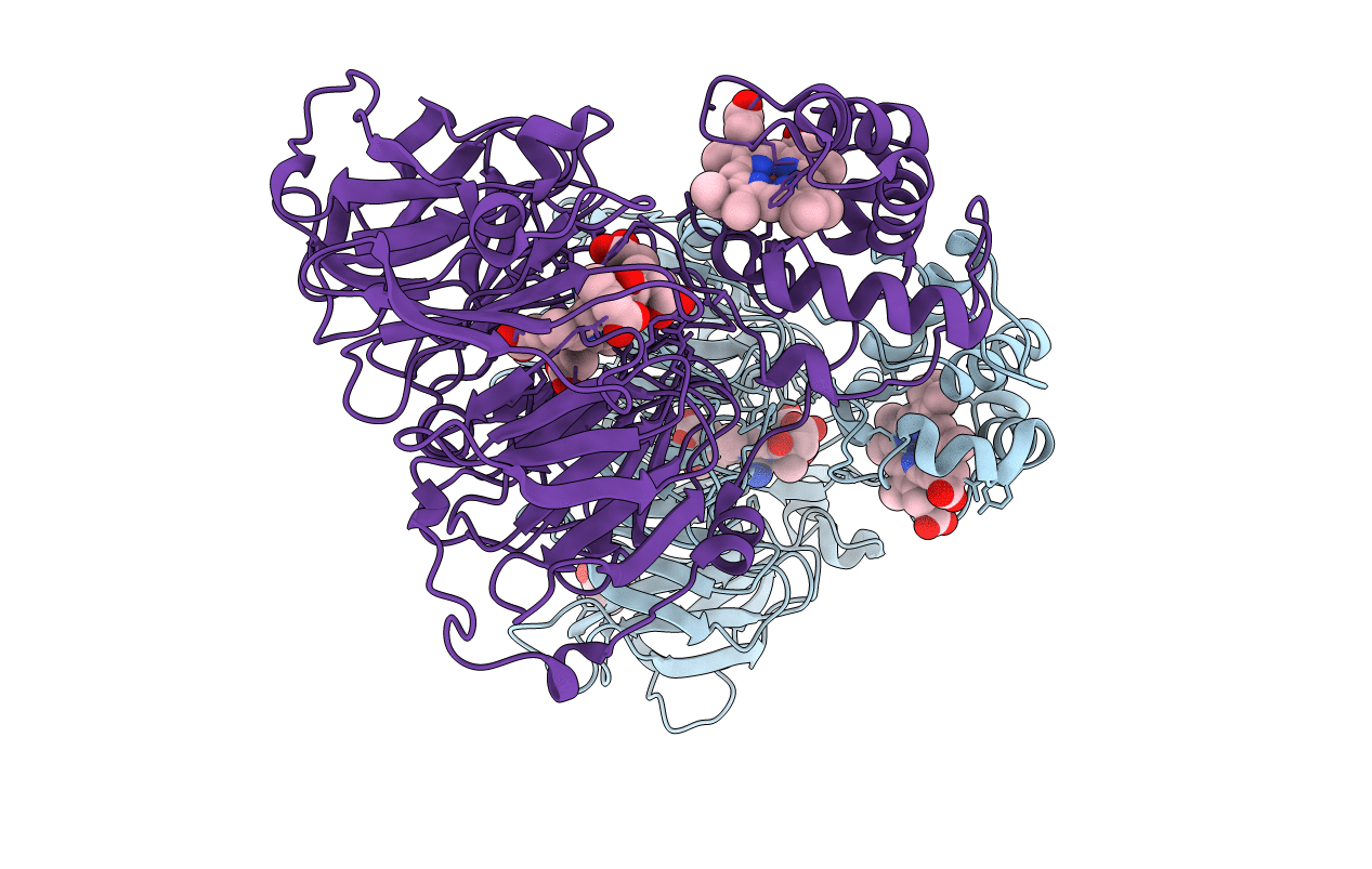 1E2R image