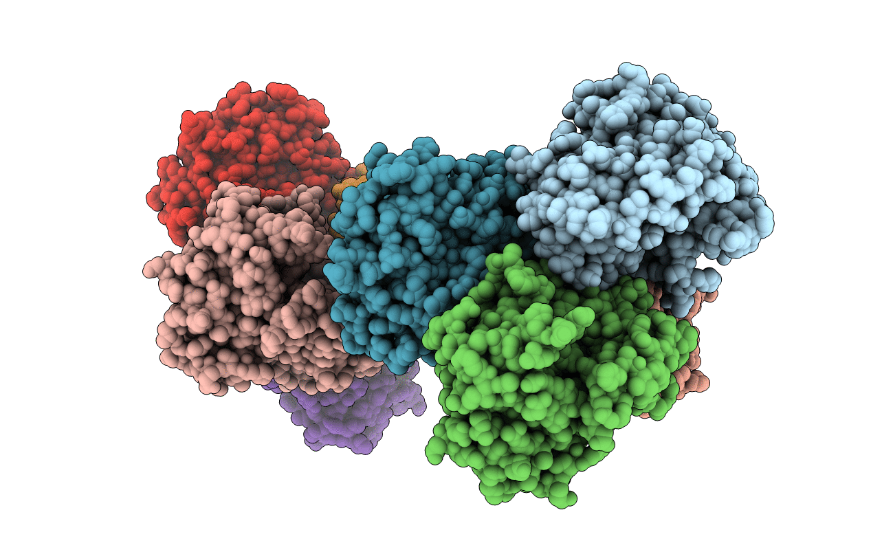 1E2T image