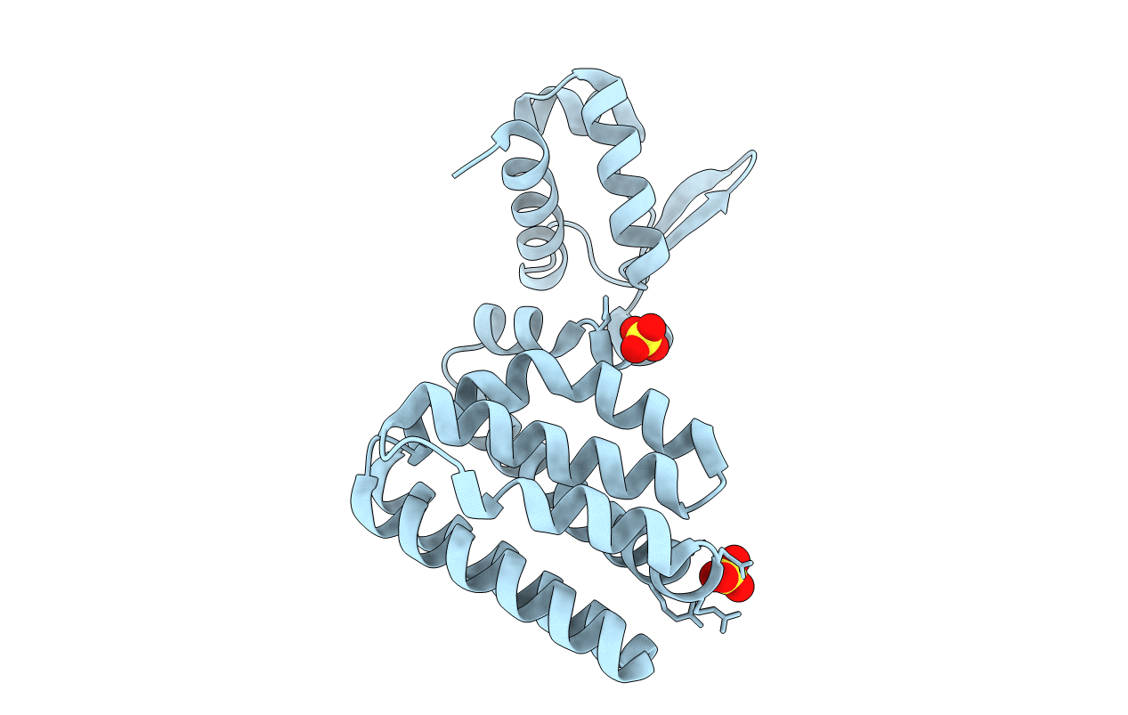 1E2X image