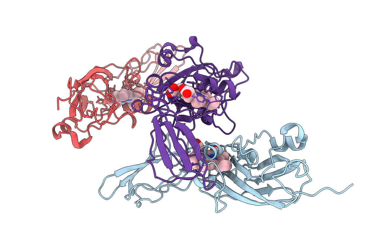 1E2Z image