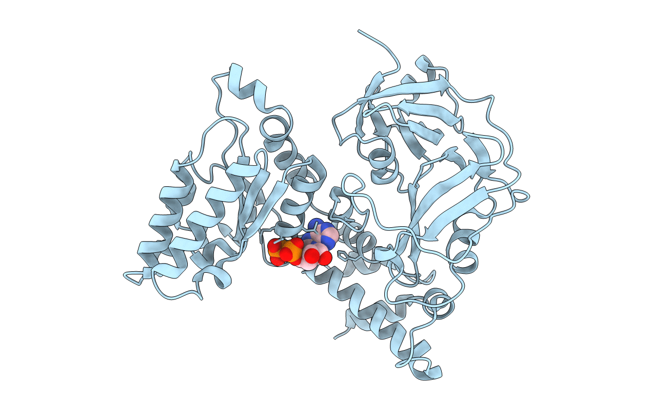 1E32 image