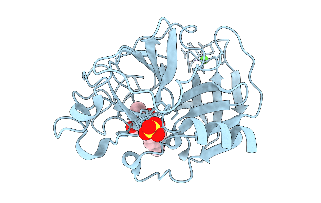 1E35 image