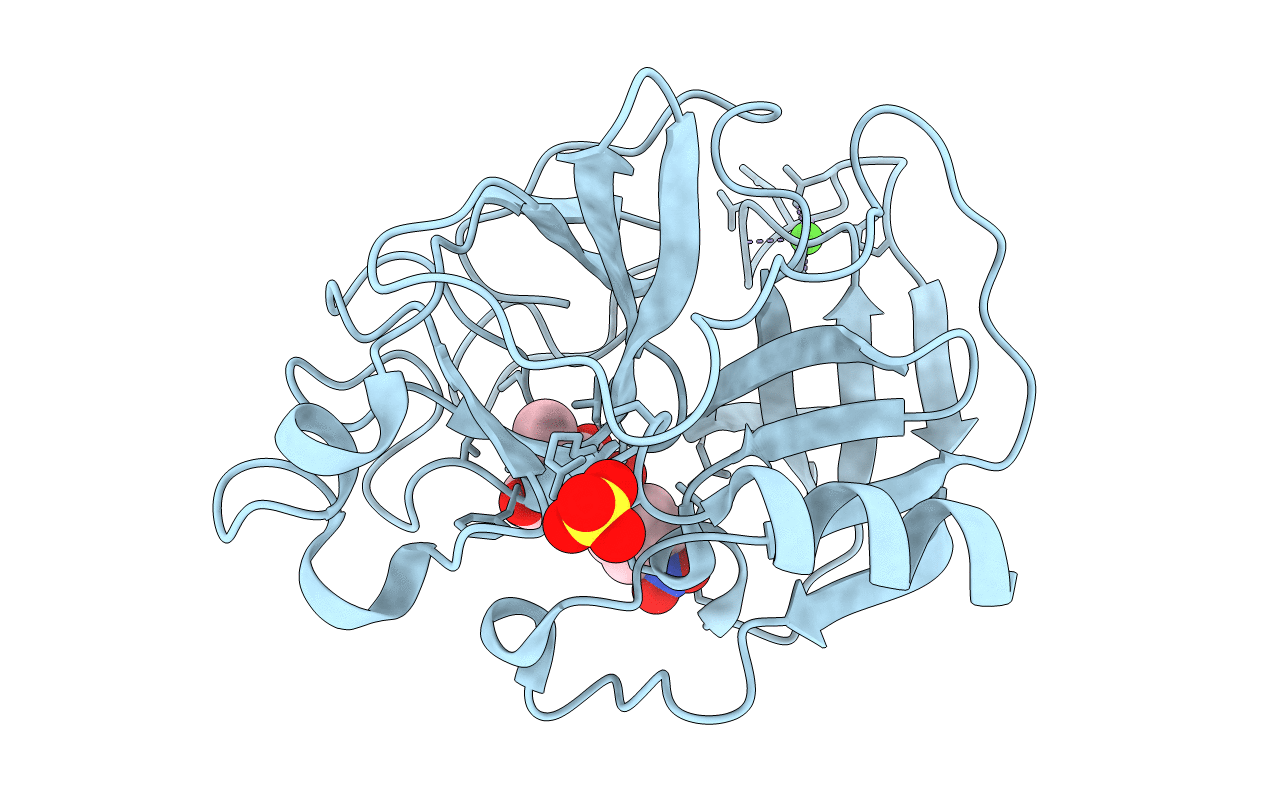 1E37 image