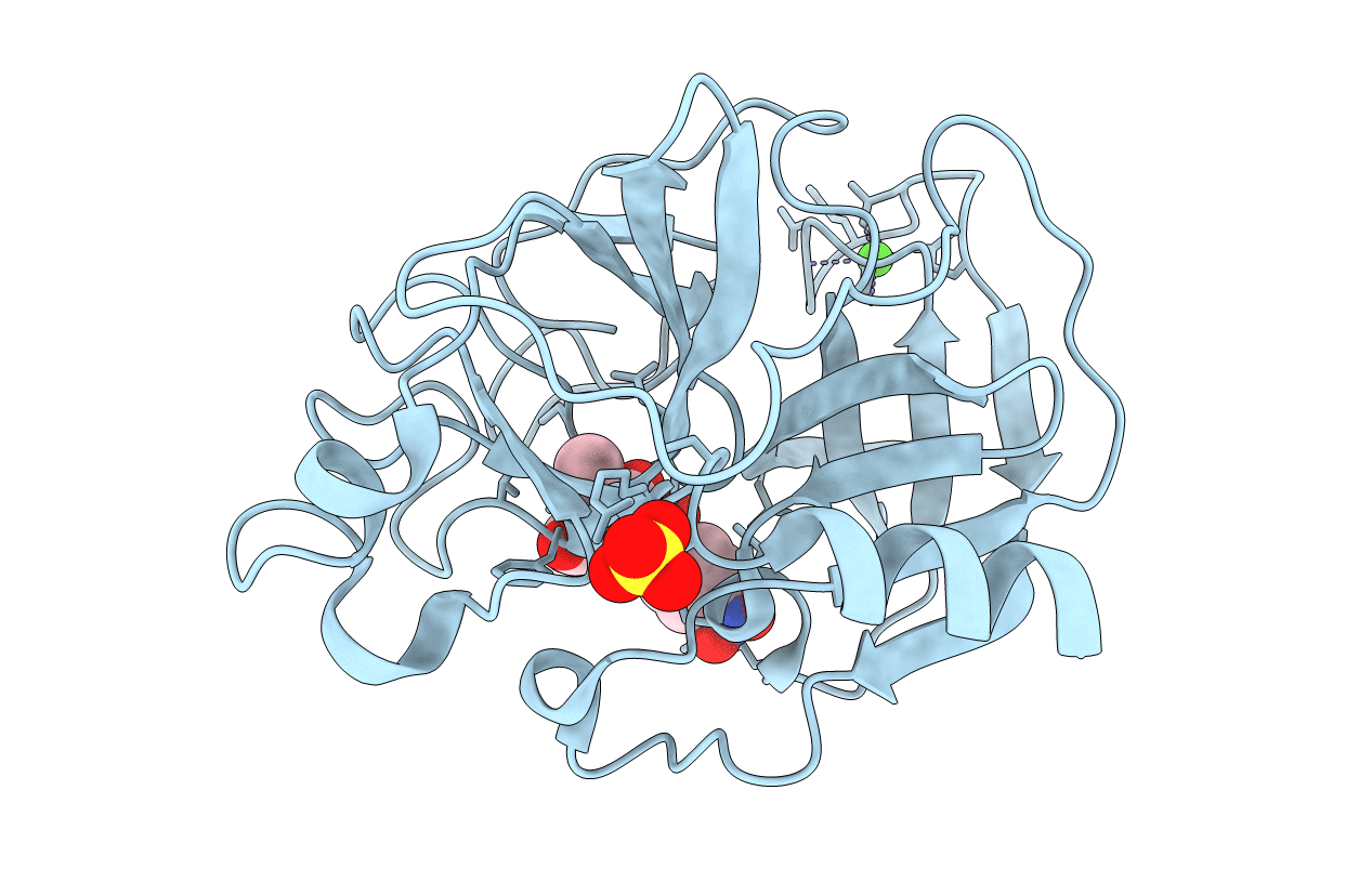 1E38 image