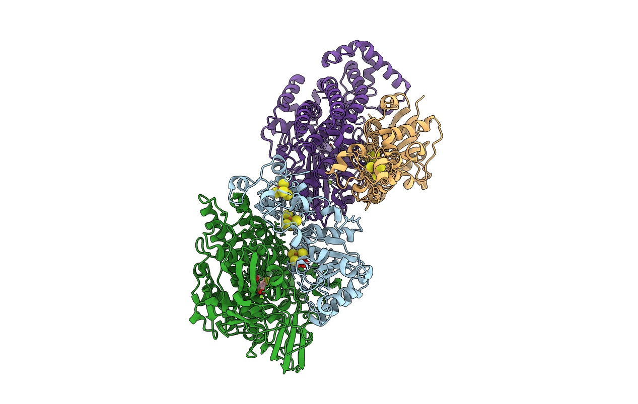 1E3D image