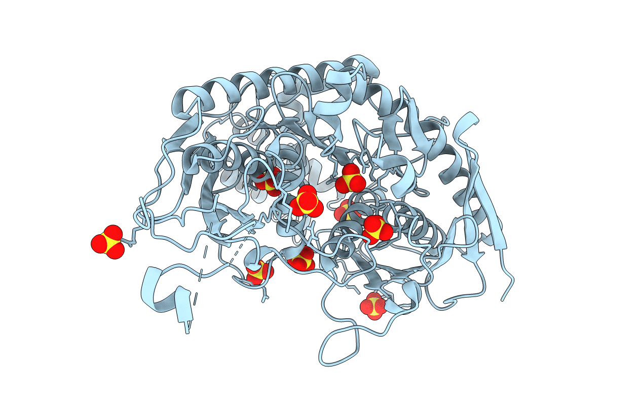 1E3H image