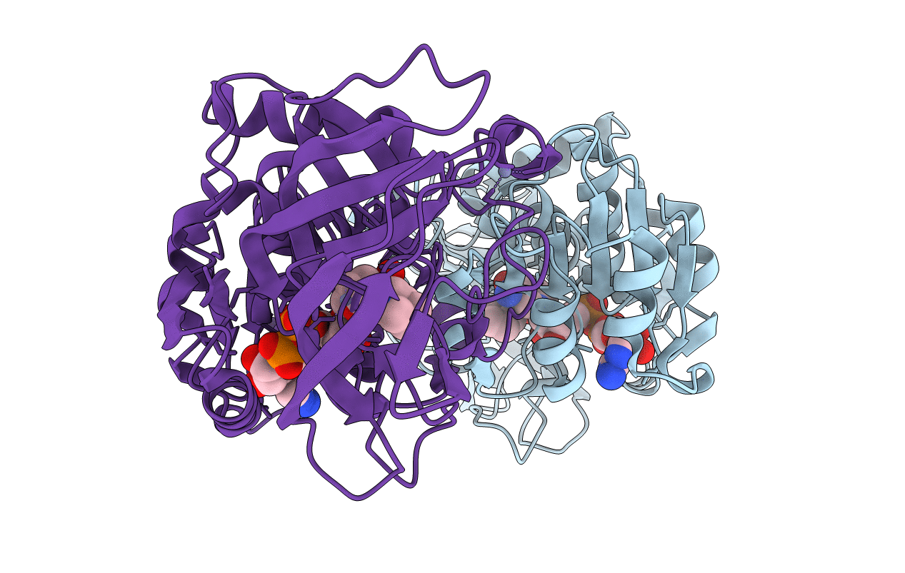 1e3i image