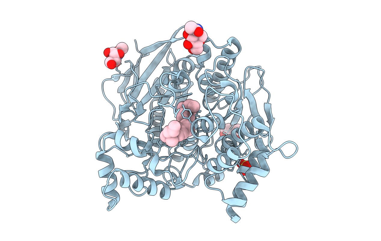 1E3Q image
