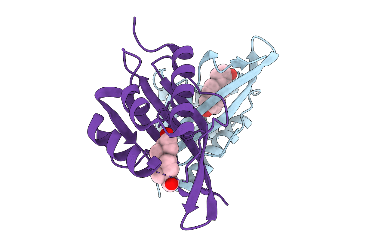 1E3R image