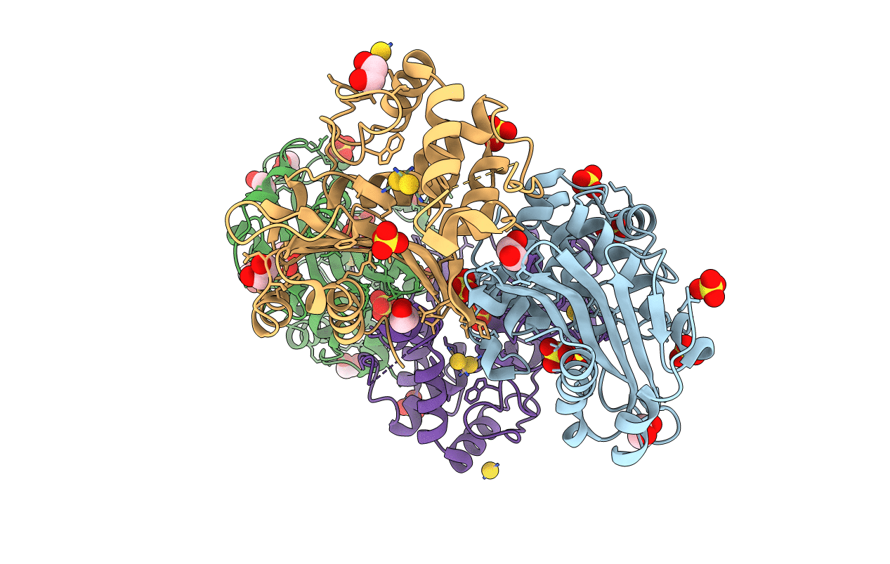 1E3U image