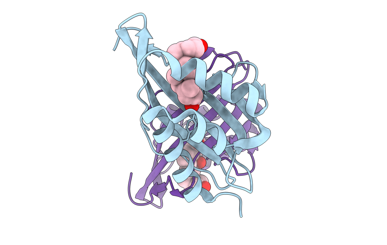 1E3V image